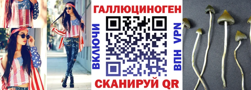Купить  Новоалександровск  Псилоцибиновые грибы Psilocybe 
